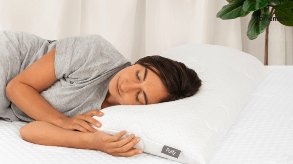 Ở đâu cung cấp ruột chăn tơ tằm uy tín chất lượng?